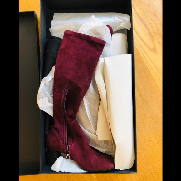 NWT Calvin Klein Collection Bordeaux Boots